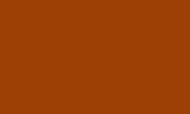 (image for) NATIVE AMERICAN